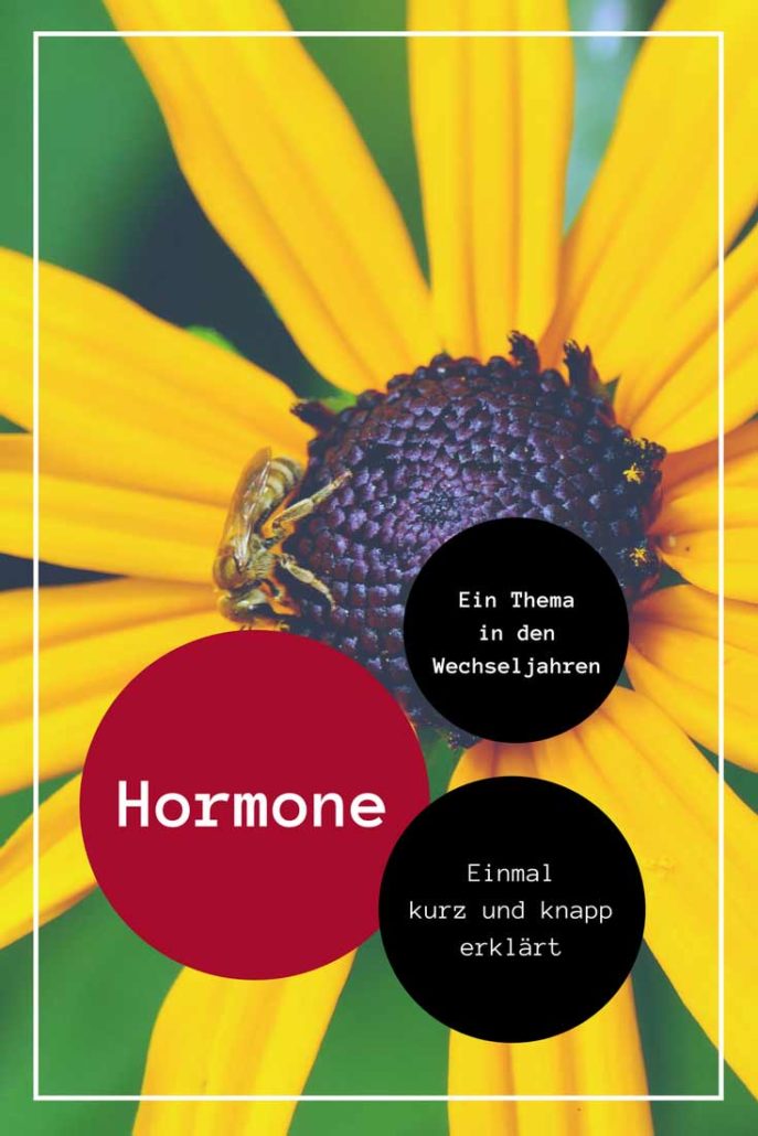 Hormone: Die Übeltäter in den Wechseljahren. Aber was machen die eigentlich?