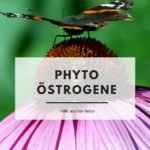 Phytoöstrogene – Hilfe aus der Natur in den Wechseljahren