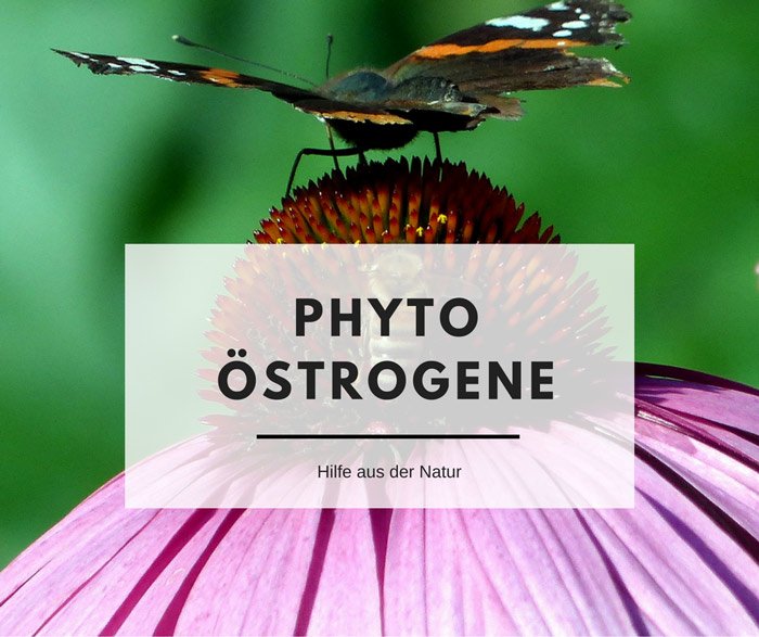 phytoöstrogene
