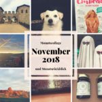 Die Saalburg im November 2018 – Monatscollage und Monatsrückblick